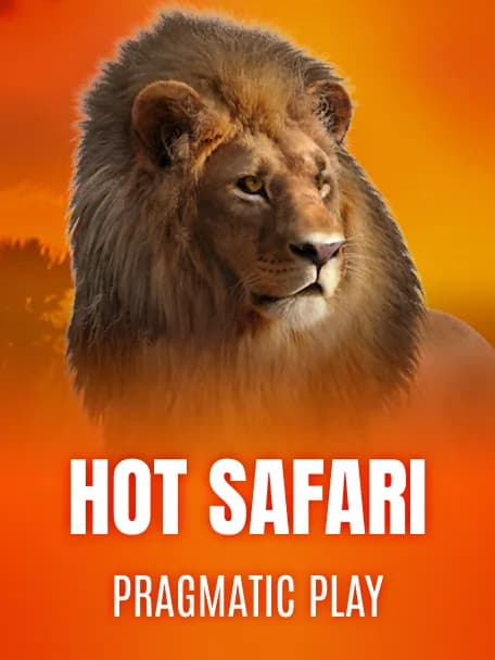 Hot Safari slot poster